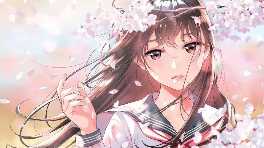海贼王最新剧场版